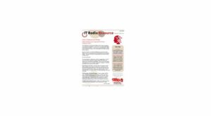 The June 2022 IT Radix newsletter focuses on: IT Security