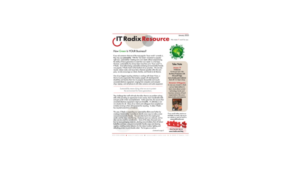 The January 2023 IT Radix newsletter focuses on: sustainable businesses