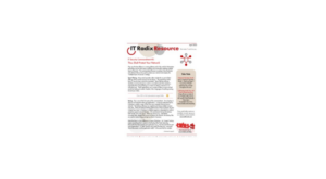 The April 2023 IT Radix newsletter focuses on: IT Security