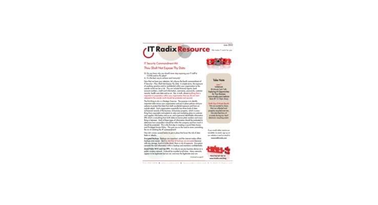 The June 2023 IT Radix newsletter focuses on: IT Security