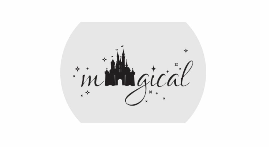 Disney experience