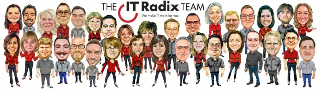 img IT radix team