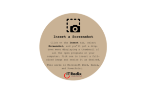 tech tip - insert a screenshot