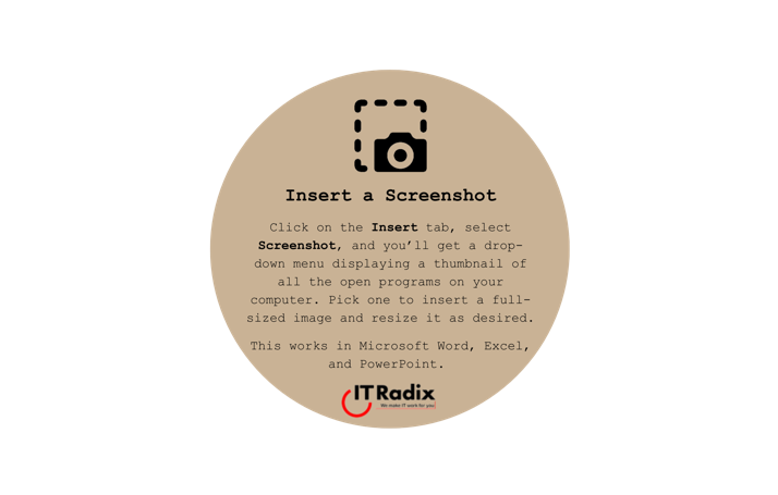 tech tip - insert a screenshot