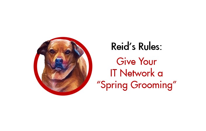 Reid's Rules - Give Your IT Network a "Spring Grooming"
